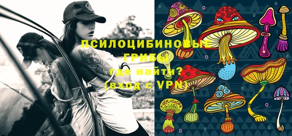mix Алексин