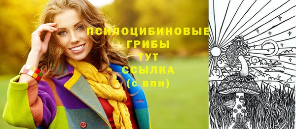 2c-b Алзамай