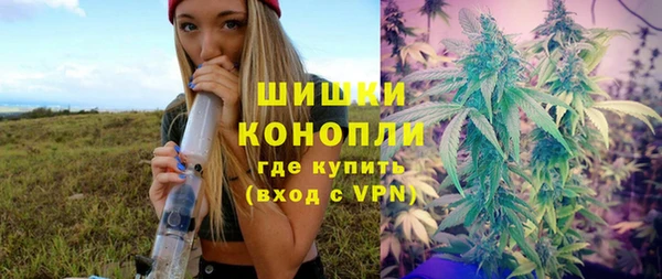 сатива Абаза