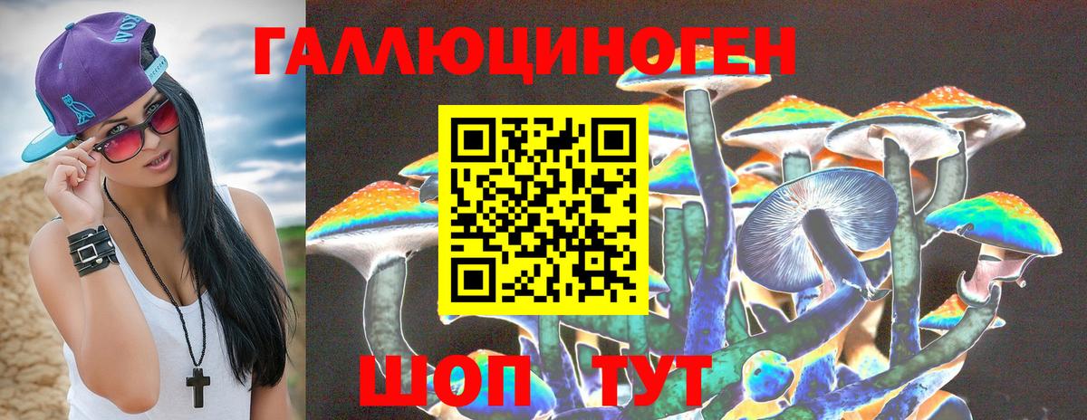 Галлюциногенные грибы мицелий Чайковский