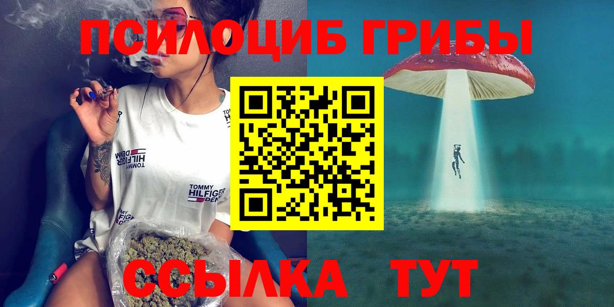 Чайковский  Галлюциногенные грибы Magic Shrooms  даркнет сайт  Вход с VPN 